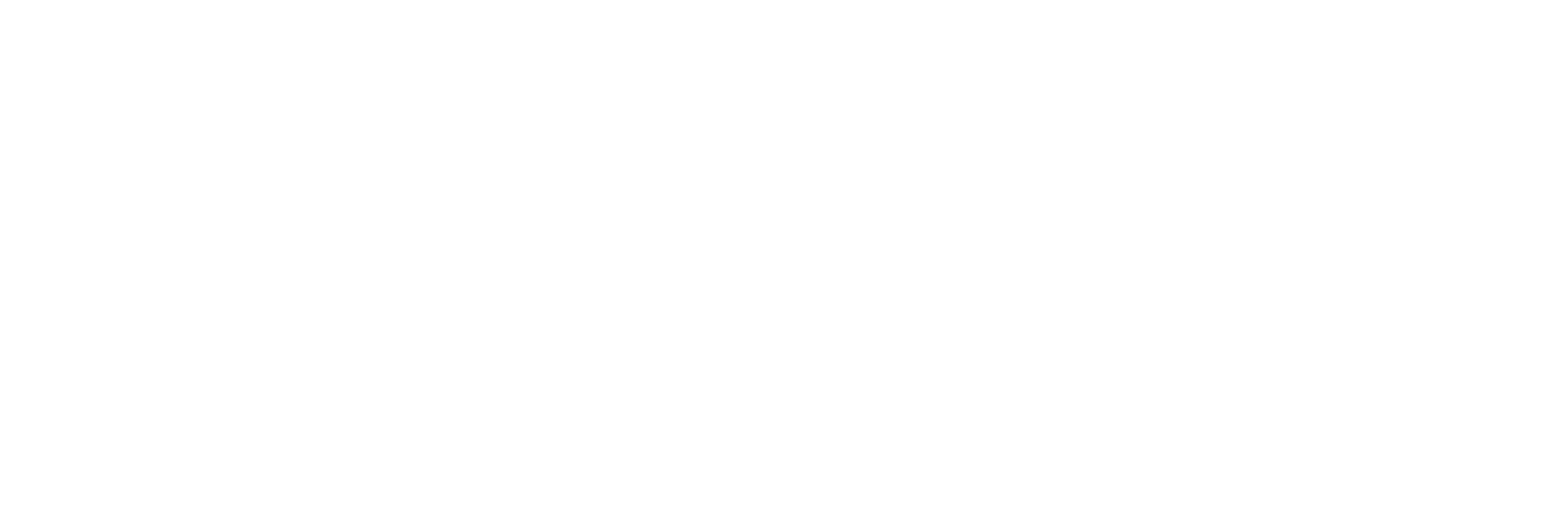 DB Structural Fabrications Ltd Logo in White